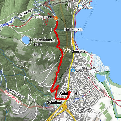 Zell am See, Salzburg/Österreich