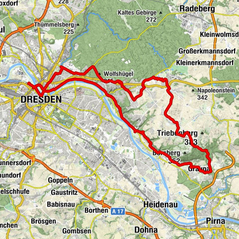 Megamarsch Dresden 2025