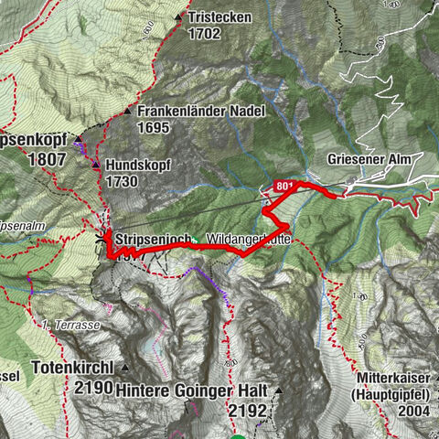 Kirchdorf in Tirol, Tirol/Österreich