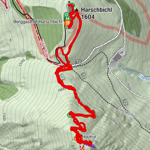Harschbichl, Tirol/Österreich