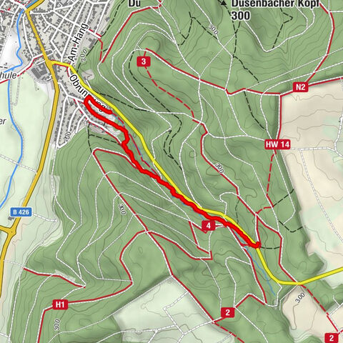 Höchst im Odenwald, Regierungsbezirk Darmstadt/Deutschland