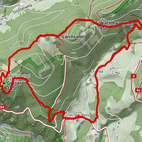 Naas, Steiermark/Österreich