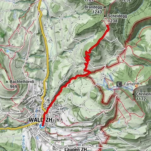 Wald, Zurich/Switzerland