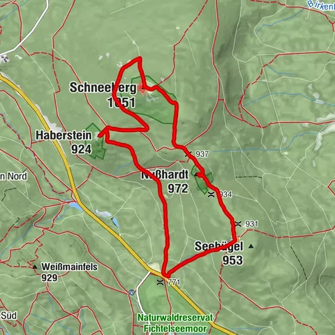 Neubauer Forst-Süd, Oberfranken/Deutschland