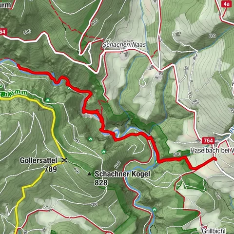 Naas, Steiermark/Österreich