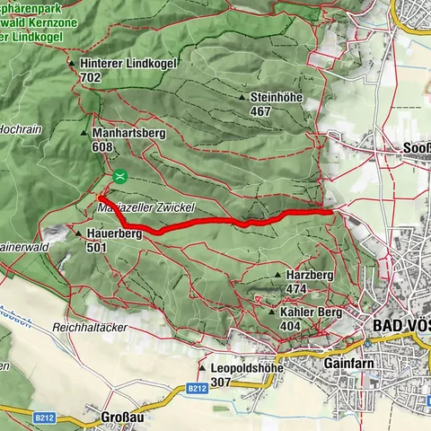 Bad Vöslau, Niederösterreich/Österreich