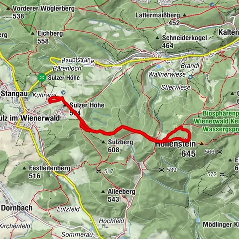 Wienerwald, Niederösterreich/Österreich