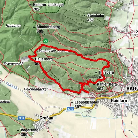 Bad Vöslau, Niederösterreich/Österreich