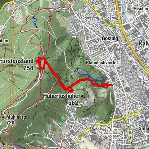 Graz, Steiermark/Österreich