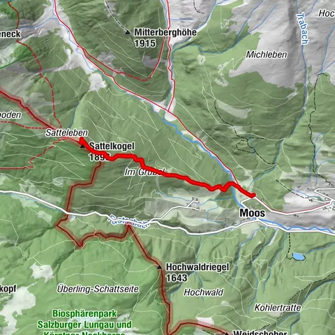 Sattelkogel, Steiermark/Österreich