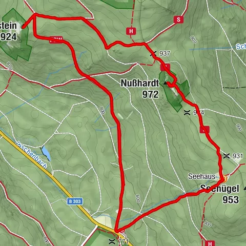 Neubauer Forst Nord, Oberfranken/Deutschland