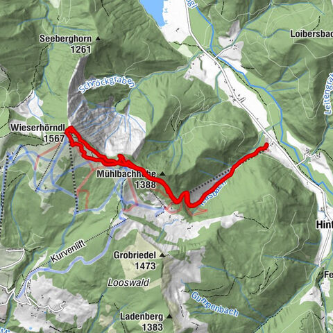 Hintersee_Anzenberghöhe+Wieserhörndl