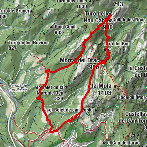 Cova del Drac Sta. Agnès, Can Pelacs