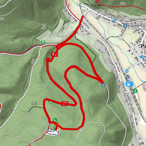 Über den Göttweiger Walderlebnisweg zu den Mammutbäumen