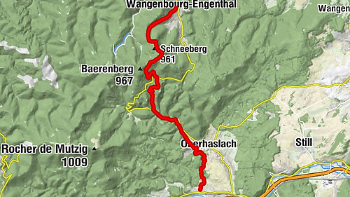 Crossing of the Vosges Massif - Stage 07 - Wangenbourg-Engenthal - Urmatt