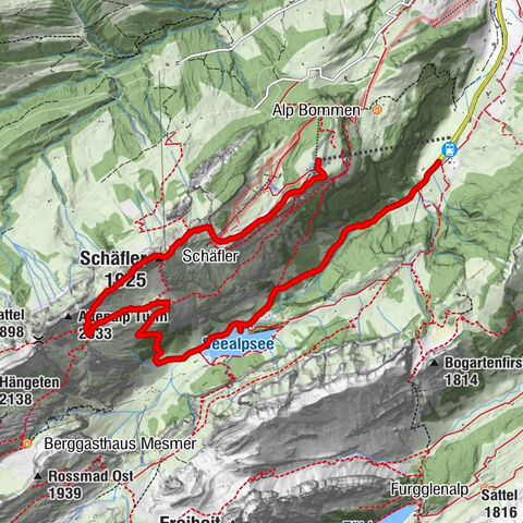 Wassrauen - Schäfler Gipfel