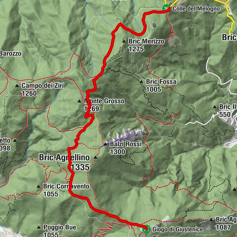 Trail no. 14: Giogo di Giustenice - Colle di Melogno