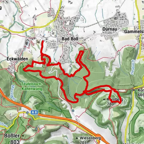 Lion trail "Berta-Hörnle-Tour" - castle stories in a dreamlike setting