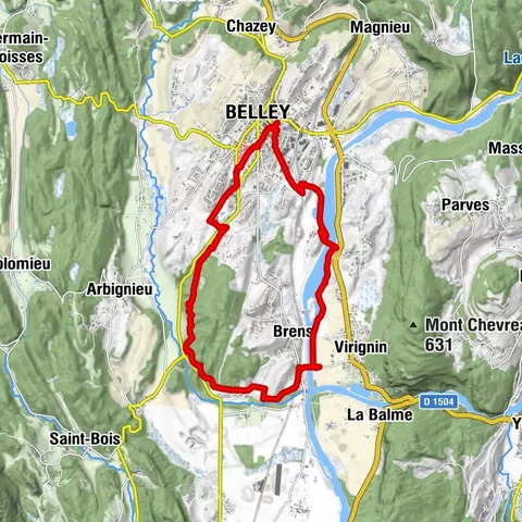 MTB trail 4 - Rothonne forest - Espace FFC Ain Forestière