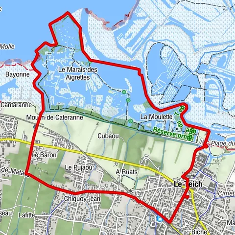 Au Teich, comme un oiseau sur le sentier du littoral