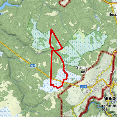 Heide, Moor und Wald im Hohen Venn