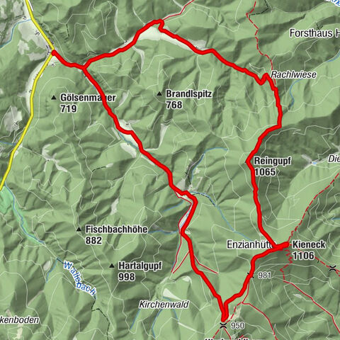 RAMSAU Sägewerk Wittmann Kieneck Reingupf retour 02.11.2017