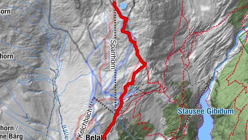 SNOWSHOE TRAIL TYNDALL