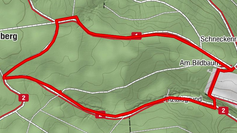 Nordic Walking in Großwallstadt (orange)