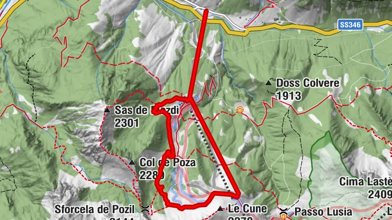 Animal Trail