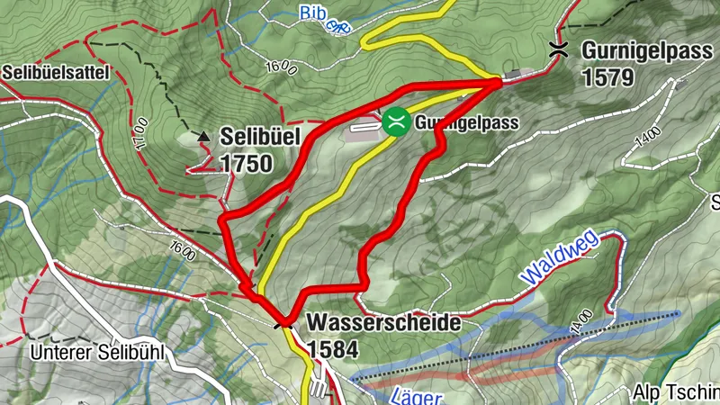 Selibüel Winter Hiking Trail (SchweizMobil 671)