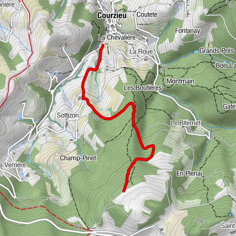 Courz'y Trail Park - Circuit No. 5: La Montée Infernale