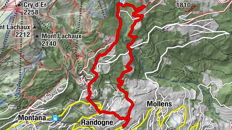 8 - Randogne Trail