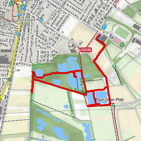 Laubenheimer Ried mit Störchen vien Weihern