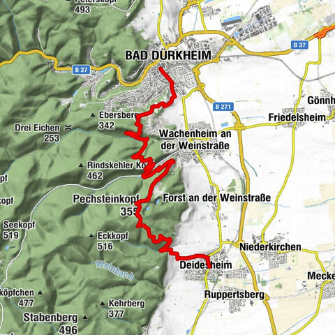 Palatinate Wine Steig Stage 03 Bad Dürkheim - Deidesheim