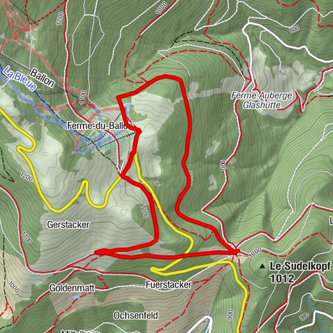 Farm-Auberge Grand Ballon walk "Under the highest peak of the Vosges"