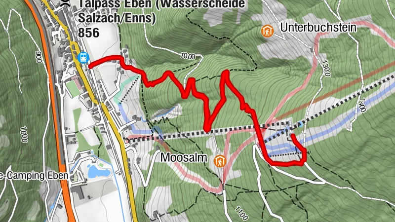 KITIWAPF | Children-Animals-Hiking Trail: Adventure Trail