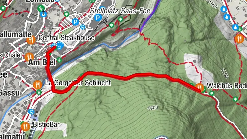 Winter forest path Bodmen (Saas-Fee - Waldhüs Bodmen)