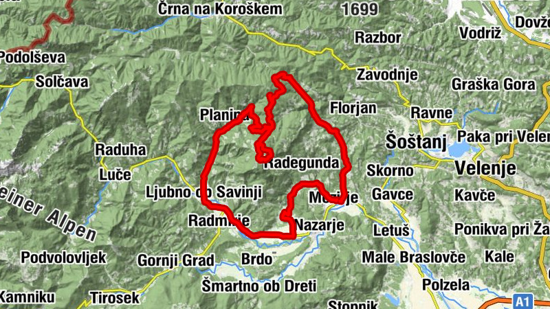 Smrekovec in Golte 1