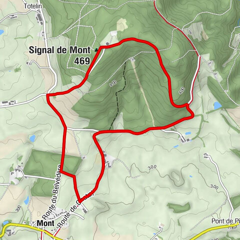 Signal de Mont - Mont