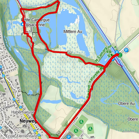 On paths of the Petite Camargue Alsacienne – "Mittlere Au" Tour