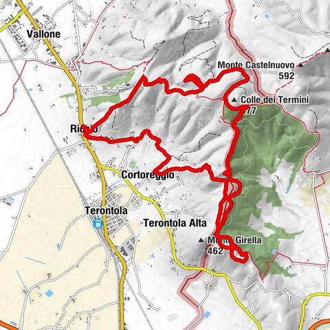 Cortona - Riccio - Bacialla - Monte Gualandro