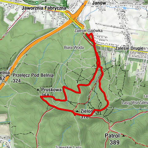 Zalesie Gajówka - Zielona - Pruskowa - Janów