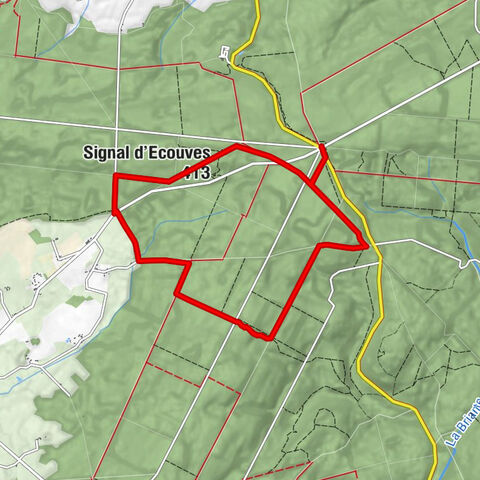 Carrefour de la Croix Médavy - Carrefour du Grand Pavillon - Carrefour de la Verrerie - Signal d'Ecouves
