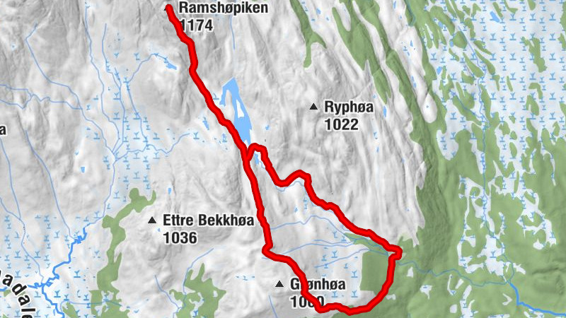 Rennebu - Ramshøpiken - Vakkerknappen