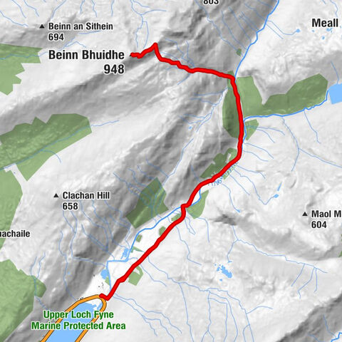 Clachan - Glenfyne - Beinn Bhuidhe
