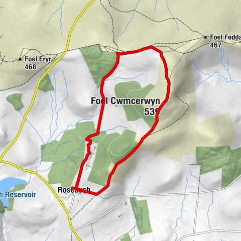 Rosebush - Foel Cwmcerwyn