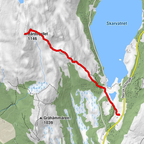 Oppdal - Skarvassosen hytteområde - Bårdsfjellet