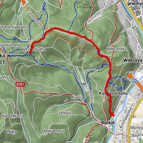 Staré mesto - Prešov - Kamenná baňa - Borkút