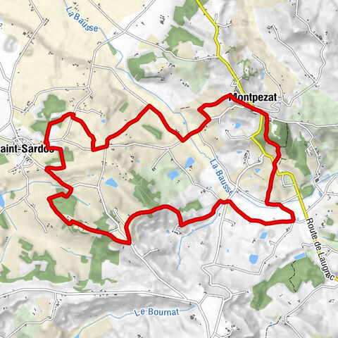 Montpezat - Hameau de Lussac - Saint-Sardos - Plante