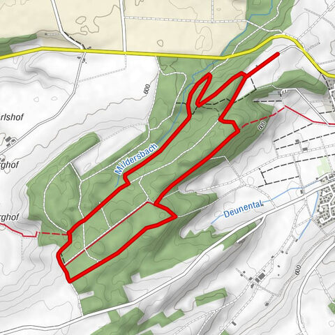 Im Reich des Schopflenweibles in Geislingen
